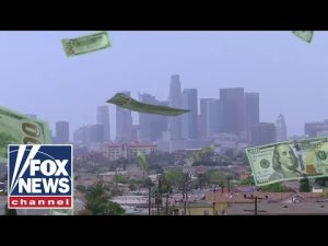 Read more about the article FOLLOWING THE MONEY: Where did LA ‘FireAid’ funds go?