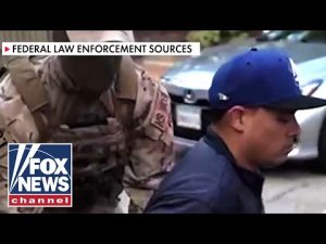 Read more about the article EXCLUSIVE: Hospital workers who blocked ICE arrest hit with federal charges