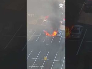 Read more about the article Fireball erupts from car fire in Virginia parking lot