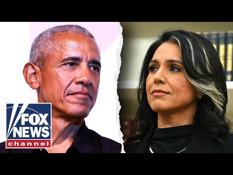 You are currently viewing Gabbard: Media ‘complicit’ in Russia collusion hoax cover-up