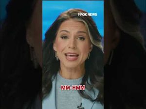 Read more about the article Obama’s office responds to Gabbard’s SHOCKING intel claims #shorts #foxnews #news