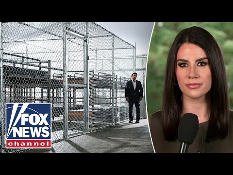 You are currently viewing BREAKING: Deportation flights from Alligator Alcatraz underway