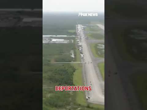 You are currently viewing NEW: Deportation flights from Alligator Alcatraz starting #shorts #foxnews #immigration