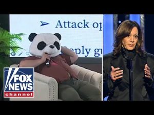 Read more about the article ‘No love for America’: Charlie Kirk roasts Dems’ Gen Z summit