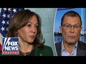 Read more about the article Democrat attorney warns party of MAJOR problems: ‘There is NO plan!’