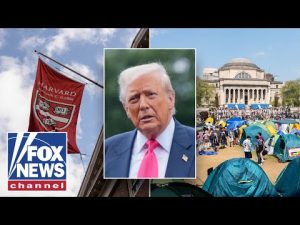 Read more about the article This ‘rot’ requires a ‘powerful response,’ says ex-Trump official