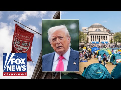 You are currently viewing This ‘rot’ requires a ‘powerful response,’ says ex-Trump official