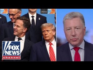Read more about the article Trump’s completely ‘changed the dynamic’ of this: NATO ambassador