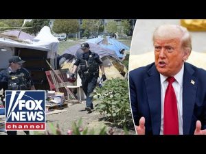 Read more about the article Trump goes after liberal cities, orders homeless to be removed from streets