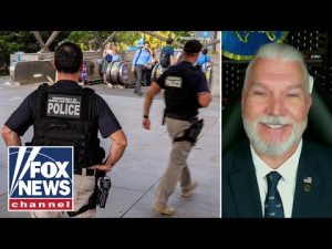 Read more about the article ‘HILARIOUS’: Mexico’s travel warning STUNS former Border Patrol Chief