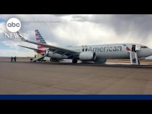 Read more about the article American Airlines flight out of Denver forced to abort takeoff
