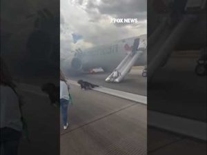 Read more about the article WATCH: Flight erupts in flames during takeoff #shorts #airplane #flight #foxnews #news #us #fox