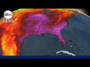 Read more about the article More than 130 million people under alert for extreme heat