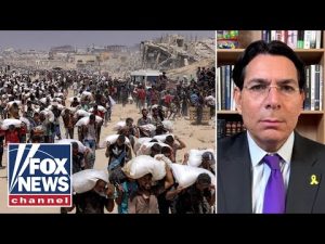Read more about the article ‘RIDICULOUS AND SHAMEFUL’: Danon SLAMS Gaza hunger crisis claims