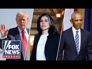 Read more about the article This is a distraction from the Epstein files: Former Biden official