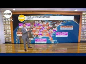 Read more about the article More than 185 million Americans are on alert for life-threatening heat and humidity