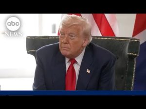 Read more about the article President Trump comments on Wall Street Journal Report