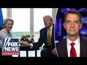 Read more about the article ‘UNDENIABLE HOT STREAK’: Sen. Cotton touts Trump’s trade deals