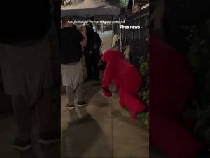 Read more about the article MUPPETS ON ‘ICE’: Prankster wearing an Elmo costume showed up at an anti-ICE protest #shorts #usa