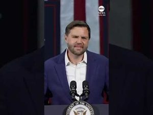 Read more about the article ‘We’re not shielding anything,’ JD Vance says of Epstein files