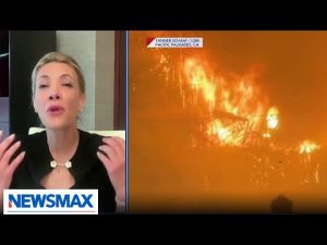 Read more about the article Palisades resident: This is a fire fraud against us | National Report