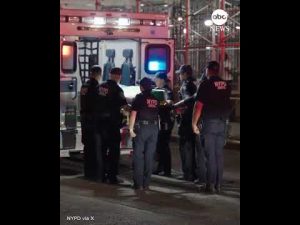 Read more about the article NYPD transfers body of officer killed in Manhattan shooting
