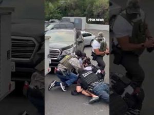 Read more about the article Illegal migrant resists arrest during dramatic takedown #shorts #foxnews #news #usa #immigration