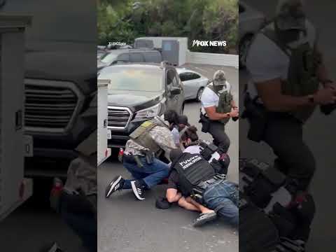 You are currently viewing Illegal migrant resists arrest during dramatic takedown #shorts #foxnews #news #usa #immigration