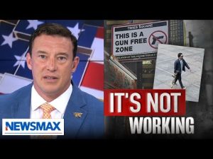 Read more about the article Carl Higbie: More guns can save lives