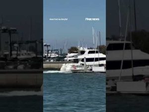 Read more about the article ‘HE JUMPED OFF’: A yacht crashes into a seawall due to mechanical failure #shorts #viral #yacht #usa
