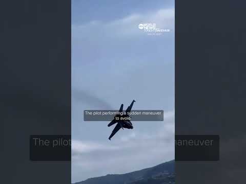You are currently viewing Spanish Air Force pilot’s shocking maneuver to avoid bird strike