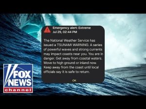 Read more about the article WATCH LIVE: Hawaii coastline after massive earthquake triggers tsunami fears