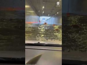 Read more about the article Frightened motorist drives through flooded tunnel
