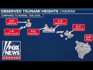 Read more about the article Hawaii tsunami threat downgraded after massive earthquake: ‘Worst is behind us’