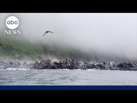 You are currently viewing Tsunami expert reacts to alert readiness following 8.8 magnitude earthquake