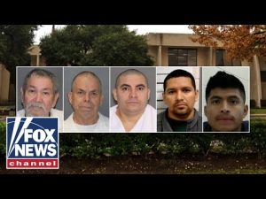 Read more about the article NEW: ICE Houston details 200+ criminal migrant arrests