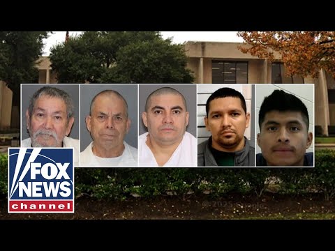 You are currently viewing NEW: ICE Houston details 200+ criminal migrant arrests