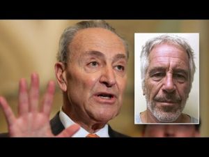 Read more about the article WATCH LIVE: Sen. Schumer addresses Epstein files