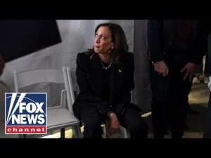 Read more about the article DONE WITH POLITICS?: What could be next for Kamala Harris