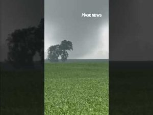 Read more about the article WATCH: Tornado whirls along Michigan farmland #shorts #viral #tornado #news #usa #us #weather