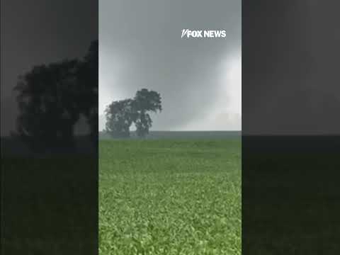 You are currently viewing WATCH: Tornado whirls along Michigan farmland #shorts #viral #tornado #news #usa #us #weather