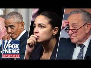Read more about the article ‘Insane behavior’: Dems continue ‘making a mess of themselves’