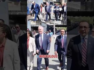 Read more about the article ‘ANOTHER LAWSUIT’: 12 Dems sue Trump over access to ICE facilities #shorts