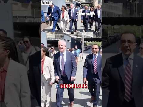 You are currently viewing ‘ANOTHER LAWSUIT’: 12 Dems sue Trump over access to ICE facilities #shorts