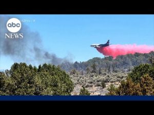 Read more about the article Grand Canyon wildfire rages in Arizona