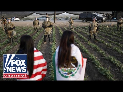You are currently viewing Border chief rips Dems’ ICE resistance after pot farm raid: ‘This is what you get!’