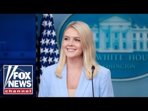 Read more about the article Karoline Leavitt briefs after new Russiagate docs released