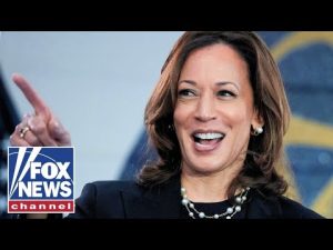 Read more about the article ‘READ THE ROOM!’: Miranda Devine on Kamala Harris’ future in politics