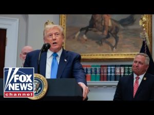 Read more about the article Trump releases additional Russiagate files amid ‘burn bag’ claims