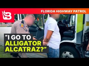 Read more about the article Florida Troopers ARREST Illegals During Traffic Stops | RAW FOOTAGE